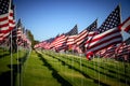 A large group of American flags. Veterans or Memorial day display Royalty Free Stock Photo