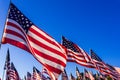 A large group of American flags. Veterans or Memorial day display Royalty Free Stock Photo