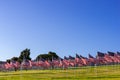 A large group of American flags. Veterans or Memorial day display Royalty Free Stock Photo