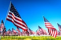 A large group of American flags. Veterans or Memorial day display Royalty Free Stock Photo