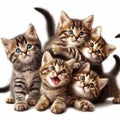 large group of assorted cute kittens on white