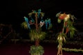 A large group of bright colorful circus peacocks and parrots on a black background in the circus scenery on the background of the