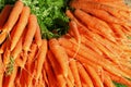 Large group of carrots Royalty Free Stock Photo