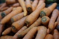 Large group of carrots Royalty Free Stock Photo
