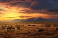 A large group of cows standing together on a field covered in dried grass, Vast plains featuring herds of grazing animals at dawn Royalty Free Stock Photo
