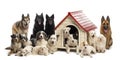 Large group of dogs in and surrounding a kennel Royalty Free Stock Photo