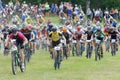 Large group of fighting mountainbike cyclists cycling uphill