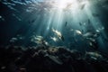 a large group of fish swimming in the ocean near a coral reef with sunlight streaming through the wa Royalty Free Stock Photo