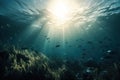 a large group of fish swimming in the ocean under the sunbeams of the ocean floor, with the sun shining through the water Royalty Free Stock Photo