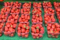 Large group fresh organic strawberries displayed in transparent plastic boxes, available for sale at a street food market, natural Royalty Free Stock Photo