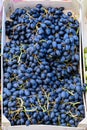 Large group of fresh ripe blue organic grapes in a small wooden box displayed for sale at a street food market Royalty Free Stock Photo