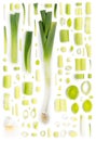 Leek Slice Collection Abstract