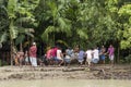 Barisal, Bangladesh - July 12, 2016: Group of men manually dragging a log out of the forest onto the muddy riverbank