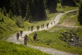 Large group of Mountain Bikers in the French Alps Royalty Free Stock Photo