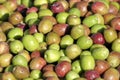 Large group of olives