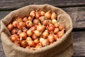 Large group of onion seeds Royalty Free Stock Photo