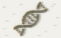 Large group of people forming DNA, helix model medicine symbol in social media and community concept on white background. 3d sign