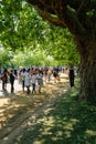A large group of people walking together in Hyde park