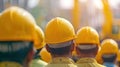 A large group of people wearing construction helmets, viewed from the back. A team of laborers of construction workers. The Royalty Free Stock Photo