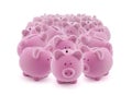 Large group of piggy banks