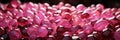 A Large Group Of Pink And Red Stones Royalty Free Stock Photo