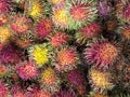 A large group of colorful Rambutan Fruit Royalty Free Stock Photo