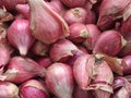 red onion ready to sell Royalty Free Stock Photo