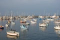 Large Group Of Sail Boats In A Marina