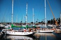 Sailboats in a harbor in San Diego Royalty Free Stock Photo