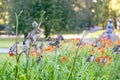 A large group of sparrows resting on summer lilies.