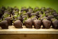 Large group of strawberries covered in dark chocolate at catered party arranged in rows Royalty Free Stock Photo