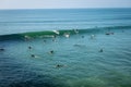 A large group of unmasked surfers paddle out and catch waves on Thanksgiving Day in Huntington Beach