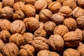 Large group of wallnut fruit background. High quality photo Royalty Free Stock Photo