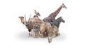 Large group of wild zoo animals together on horizontal web banner with room Royalty Free Stock Photo