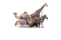 Large group of wild zoo animals together on horizontal web banner with room Royalty Free Stock Photo