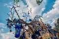 Large groups of blue and broken bead worn against the evil eye hanging on tree