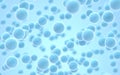 Large groups of streptococcus with blue background, 3d rendering Royalty Free Stock Photo