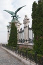 Large Gryphon statue is a decoration to gate at Museum in Budapest, Hunga