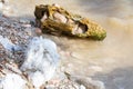 Large gypsum rock or stone surrounded by water. Big wet calcite washed in the river shore with lots of waves.