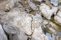 Large gypsum rock or stone surrounded by water. Big wet calcite washed in the river shore with lots of waves. Semi Precious