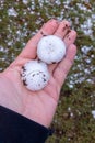 Large hail on human palm close up after hailstones thunderstorm Royalty Free Stock Photo