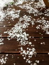 Large hailstones covering wooden terrace after hailstone storm