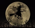 Large Halloween moon and spooky witch silhouette
