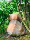Large Hand Thrown Ceramic Urns in Garden