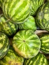 Large harvest of green striped watermelons Royalty Free Stock Photo