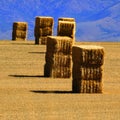 Large Haybales Hay Bales Stacks in Golden Field Harvest Royalty Free Stock Photo