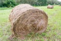 A large haystack of dry hay at the time of harvesting and rolled Royalty Free Stock Photo