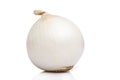 Large head of white onion. Healthy eating and vegetarianism. Virus protection during an epidemic. Isolated on a white background Royalty Free Stock Photo