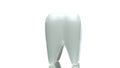 Large healthy ceramic 3D tooth model rotating on white background