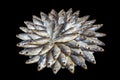 Large heap of dried salted sea roach laid out in the form of a circle on a black background